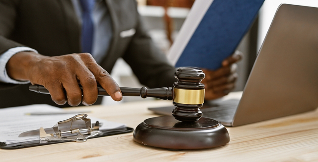 Licence en droits  de l’homme, citoyenneté et paix