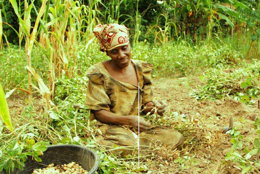 Série de webinaires thématiques wascal -ucad sur l'économie du changement climatique 2021