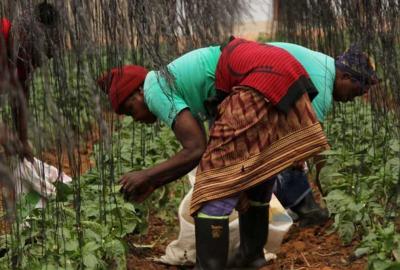 Conférence sur le changement climatique et la sécurité alimentaire en Afrique de l'Ouest